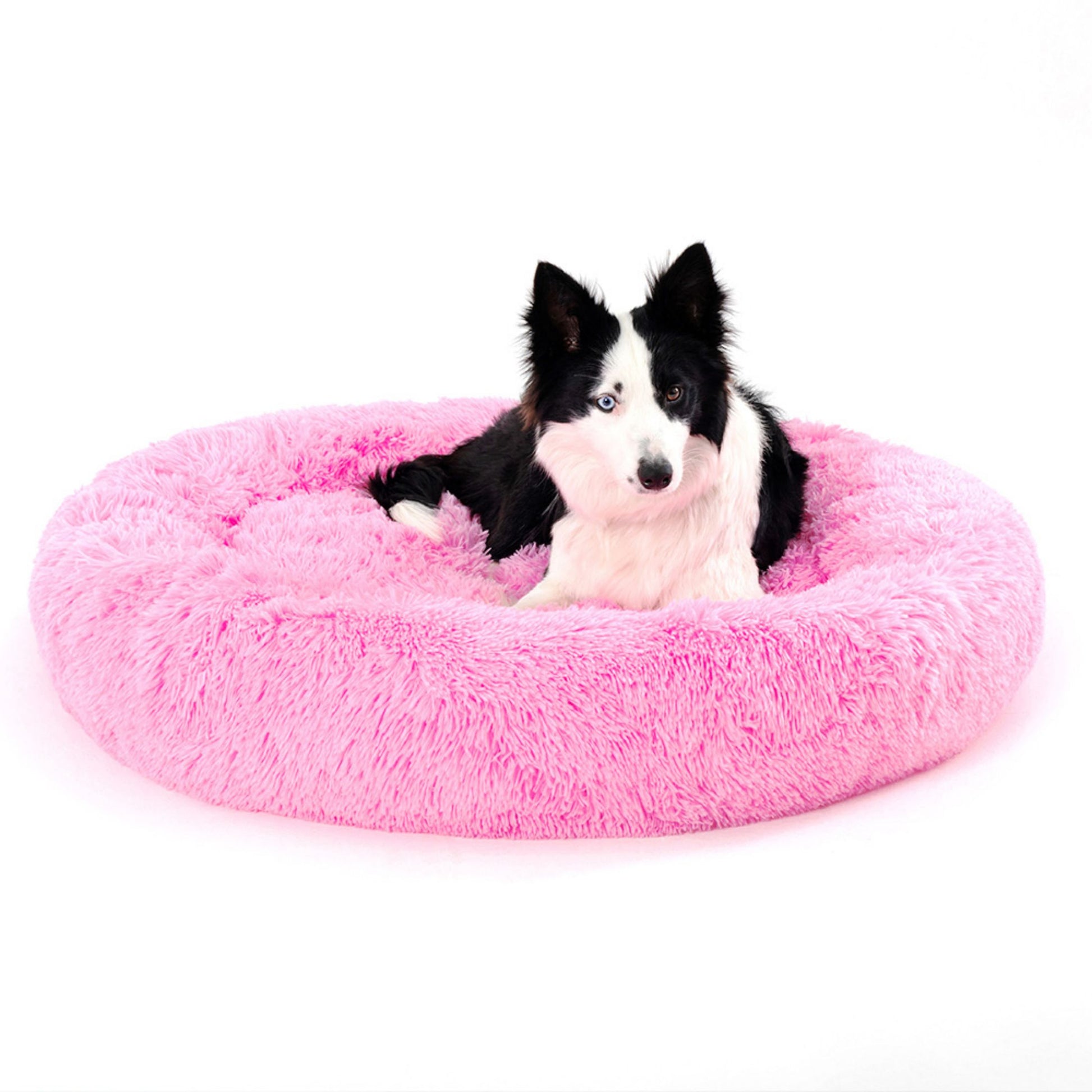 Cama para perro Donut esponjosa y cálida