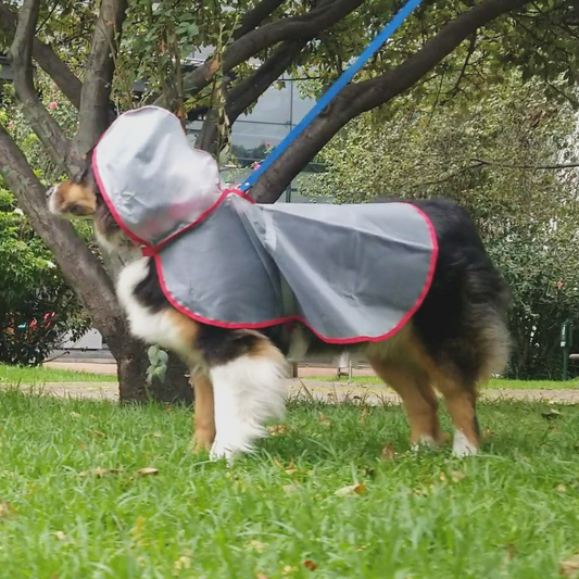 Capa Impermeable para Perro – Protección Total Bajo la Lluvia