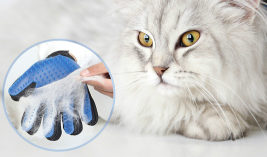 Guante 2 en 1 para Peinar y Masajear Mascotas – ¡Más Pelo Fuera, Más Amor Dentro!