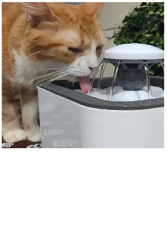 Bebedero Automático para Gatos y Perros – Agua Siempre Fresca