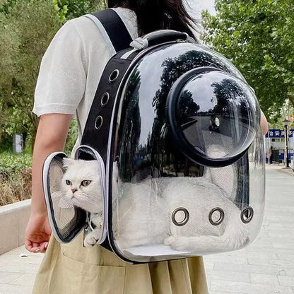 Bolsas de transporte transparentes para gatos y perros pequeños