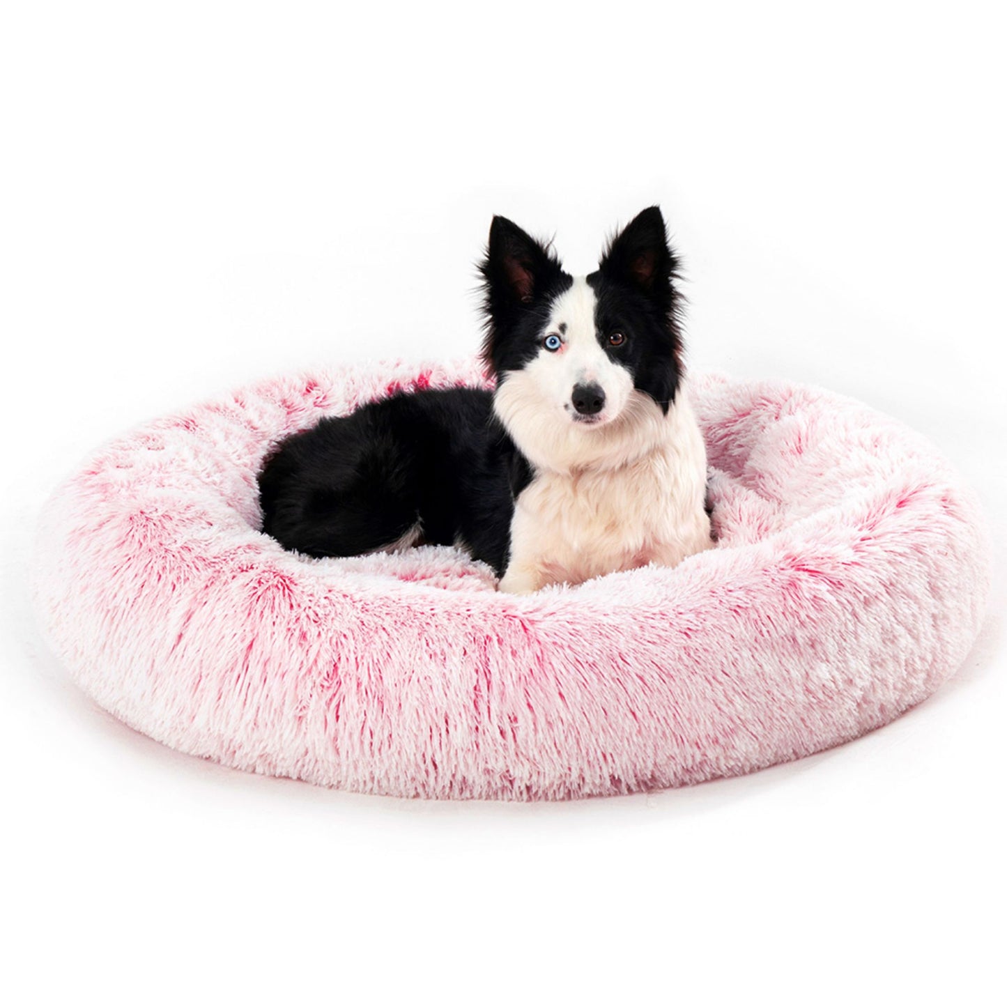 Cama para perro Donut esponjosa y cálida