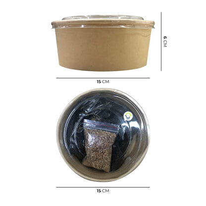 🌱 Hierba Comestible Premium para Gatos HPSM-1